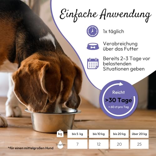 PHA Antistress Tropfen, Natürliches Beruhigungsmittel für Hunde & Katzen, für Silvester, Autofahrten, Tierarzt & Alleinsein, zur Beruhigung, Entspannungs- & Anti-Stress-Mittel für Hunde & Katzen