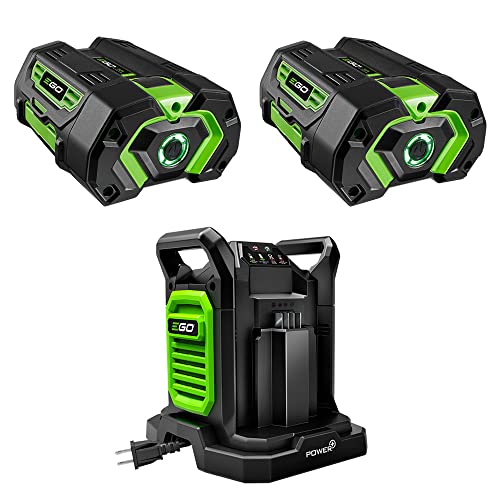 EGO Power+ 2 Pack of BA2800T 5.0 Ah Battery with Upgraded Fuel Gauge (3rd Generation) & CH2800D 56-Volt 280W Dual Port Charger