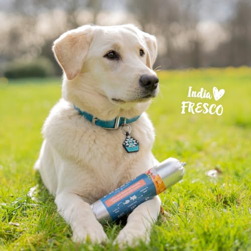 FRESCO Dog Barf Hundewurst schnittfest Lachs mit Rind I 2 x 400g | Getreidefrei, hoher Fleischanteil 80% | Nassfutter für Hunde mit Karotte, Kürbis & Spirulina | Aus Deutschland