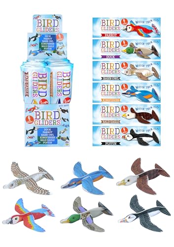 Lot de 6 planches polystyrène avion oiseau planeur anniversaire 16cm