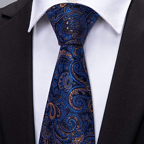 Barry.wang Blue Gold Ties Paisley Designer Wedding Business Necktie Set Gift For Men #TOP3