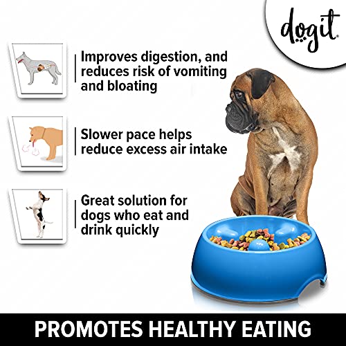 Dogit Go: Fressnapf für Hunde, langsames Fressen, geeignet für Nass- oder Trockenfutter, Medium, blau