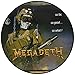 So Far, So Good, So What [LP Picture Disc][Explicit]