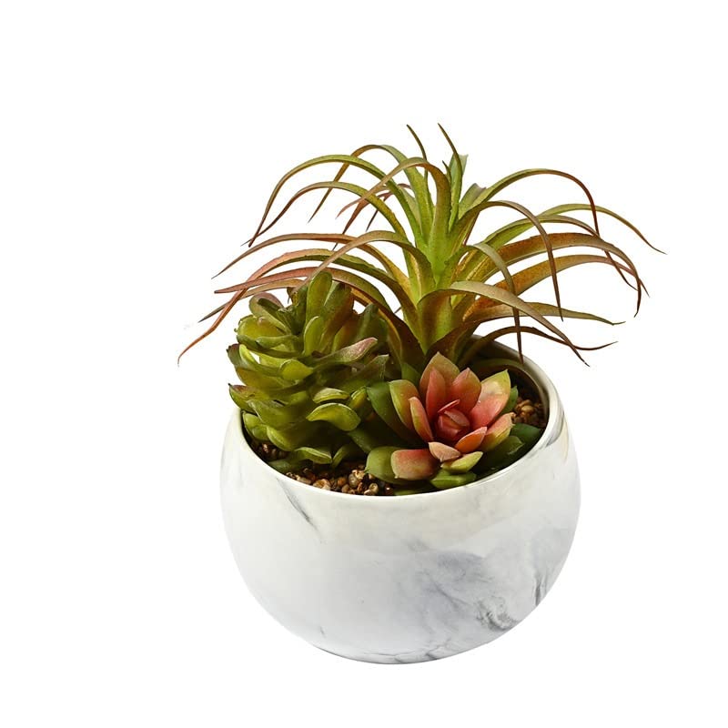 Alberi Artificiali Piante grasse Artificiali da 20 cm in Vaso di Ceramica Piante Artificiali in Vaso Piante grasse finte in Vaso Piante grasse finte da Interno for mensola Domestica Tavolo da Cucina