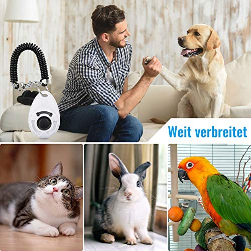 Diyife 4 Stück Hunde Clicker, Multi-Color Trainings-Clicker mit Handschlaufe, Klicker mit Großem Knopf, Hundeerziehung und Hundetraining, für Hund, Katze, Pferd (Cyan + Blau + Schwarz + Weiß)