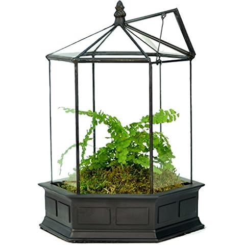 H Potter Glass Terrarium Succulent Planter Wardian Case Plant Container Six Sided WAR151 Cover