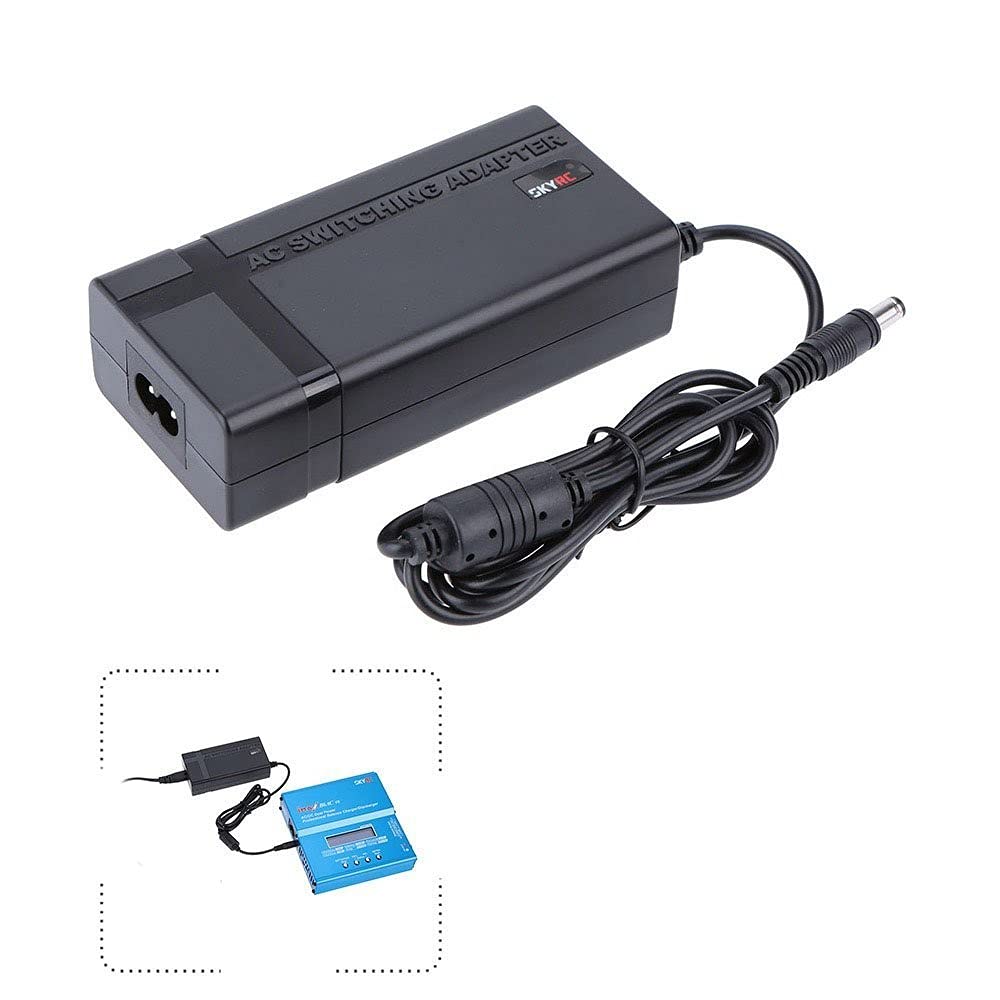 SKYRC SK-200008 Netzteil & Wechselrichter, 60 W, Schwarz Leistungsadapter & Wechselrichter (Innenbereich, 100-240 V, 50/60 Hz, 60 W, 15 V, 4 A)