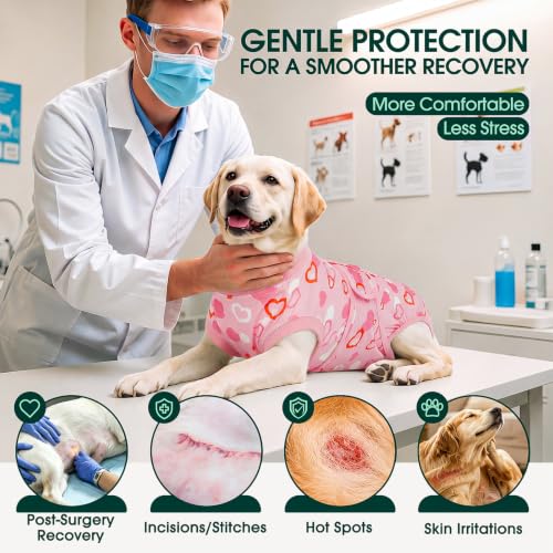 Image of Kuoser Recovery Suit for Dogs After Surgery, Female Dog Onesie for Surgery