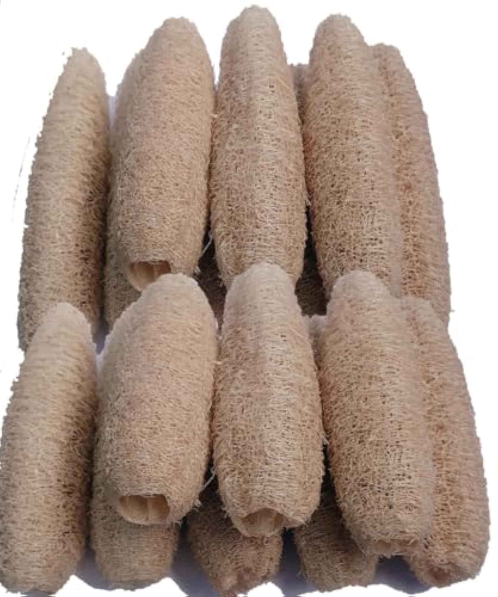 100% Natural Loofah Sponge Body Scrubber, Eco-Friendly, Pack of 15