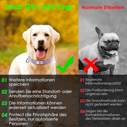 ThinkPet Intelligenter QR-Code Hundehalsband - Aus Nylon, Verstellbare Größe, Langlebig & Komfortabel, Echtzeit-Ortung mit Kontaktinformationen des Besitzers-Violett Farbe-Medium(Halsumfang:33-51cm)