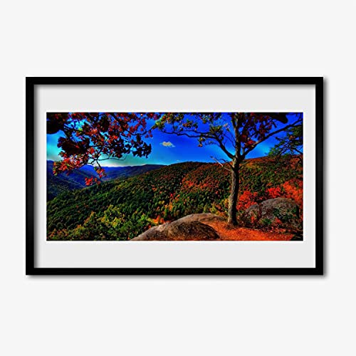 Affiche encadrée nature forestière de montagne 60x40 cm pour salon et chambre