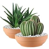 Terra Cotta Pots for Plants with Drainage Hole, 2 Pack Large Round Clay Flower Pots, 8.66" Clay Cera