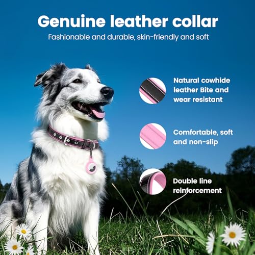 PawView Genuine Leather Dog Collar with AirTag Holder-Compatible with Airtag,Adjustable & Personalised for Small Dogs-Breathable PU Lining,Anti-Loss QR Code (S:Neck 28-42cm,Width 2cm,Pink) - Image 3