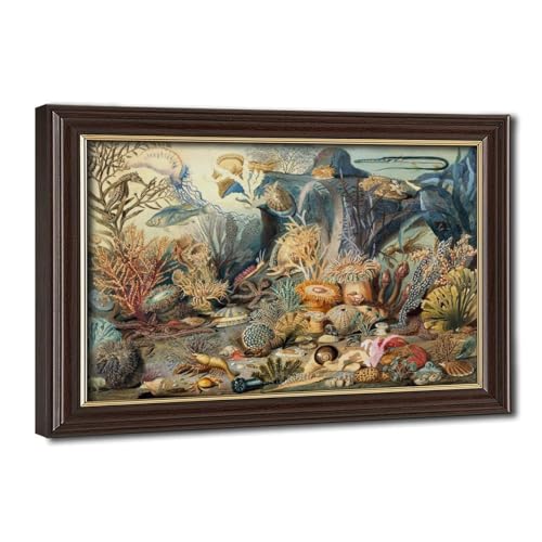 Toile vie marine Christian Schussele tableau récif corail encadré pour salon