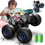 PENGBU RC – 1/16 Hai Monstertruck Ferngesteuert mit Stomp, Spray, 360°Dr