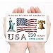 America 250th Anniversary Fridge Magnet, 250 Years Statue of Liberty Design, 3.5 x 5 Inch Porcelain White Acrylic, Patriotic Keepsake Gift for 1776-2026 Semiquincentennial