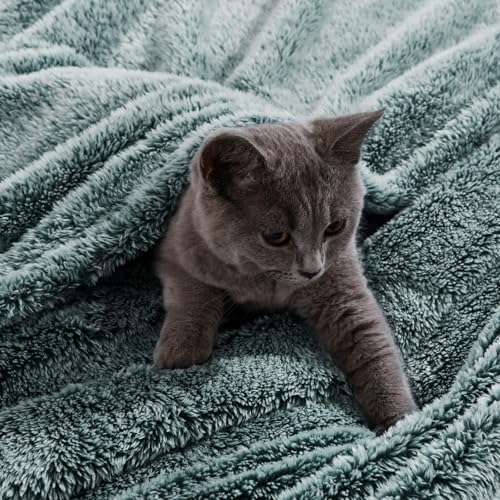 Image of Exclusivo Mezcla Plush Fuzzy Fleece Throw Blanket Extra Large, Super Soft, Fluffy and Warm Blankets for Couch, Bed, All Season (Mixed Green, 50x70 inches)
