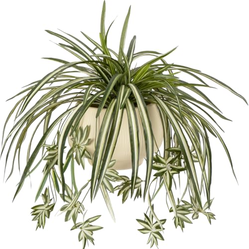 Best Artificial Hanging Plants for Your Home 68 Sousi 3pcs Artificial Spider Plant for Delivery Prime, Silk Faux ...