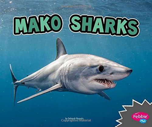 Mako Sharks (All About Sharks)