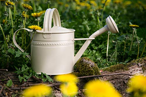 Gießkanne 3,5 Liter Creme Metall Zinkkanne Verzinkt Kanne 1015 Wasserkanne