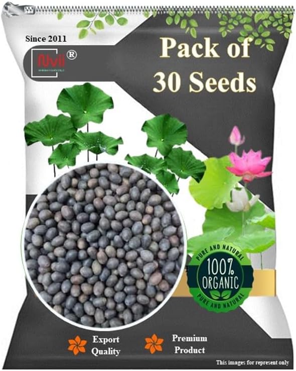 Best Germination Lotus Mix Flower Seeds (Pack Of 30 Seeds) - All Mix Color Growing Lotus Kamal Gatta Seed,Home Gardening, Live Water plant for Pond, Rosary of Kamalgatta, Makhana Seed, Water Lily