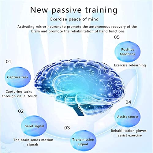 Rehabilitation Robot Gloves Multiple Modes Stroke Hemiplegia Rehabilitation Training Equipmen for Hand Dysfunction Patients Exercise Finger Joint Finger Training Rehab (Right Small)