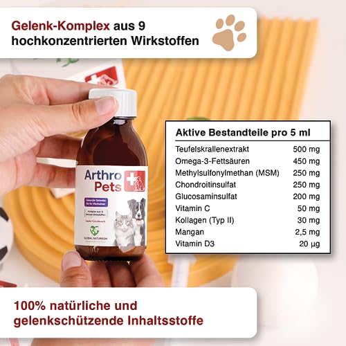 ArthroPets+ Alternative zu Gelenktabletten für Hunde und Katzen, Gelenk-komplex aus 9 hochkonzentrierten Wirkstoffen auf Lachsölbasis, Gelenkschutz für Hunde und Katzen, Omega 3, VIT. D3-100 ml
