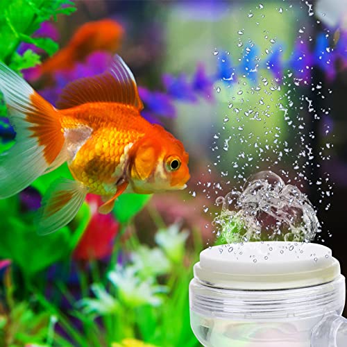 TIESOME-Aquarium-Air-Stone-Fish-Tank-Nano-Bubble-Stone-Kit-with-Control-Valve-Quiet-and-Suckers-Super-High-Dissolved-Oxygen-Diffuser-Makes-Super-Tiny-Bubbles-for-Fish-Tank-and-Hydroponic