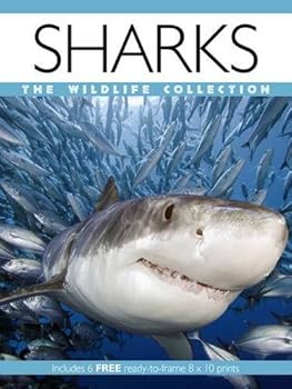 Paperback Sharks (Wildlife Collection) Book