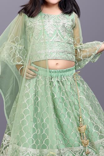 Image of Girl's Princess Lehenga Choli Set - Soft Net, Ribbon Embroidery With Duppata, Readymade