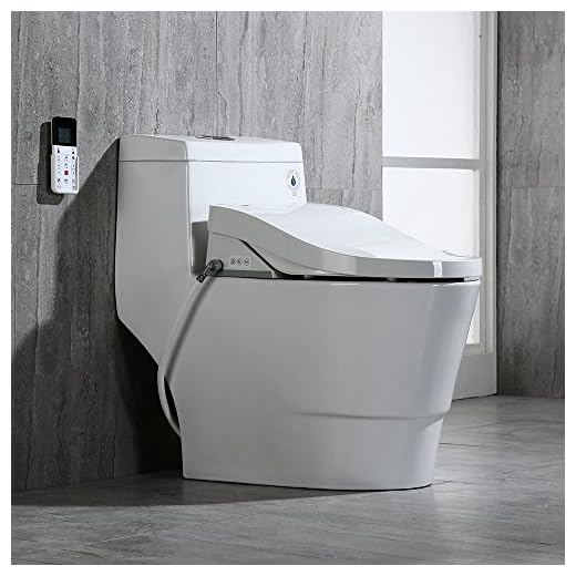 WoodBridge T-0008 One Piece Toilet, Elongated with Advanced Bidet - Smart Toilet Seat with Temperature Control and Air Dryer