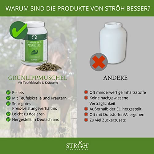 STRÖH Grünlippmuschel Pellets Pferd (2,8kg) • Mit Teufelskralle & Kräuter für Pferde • Unterstützung für Bänder, Sehnen & Gelenke