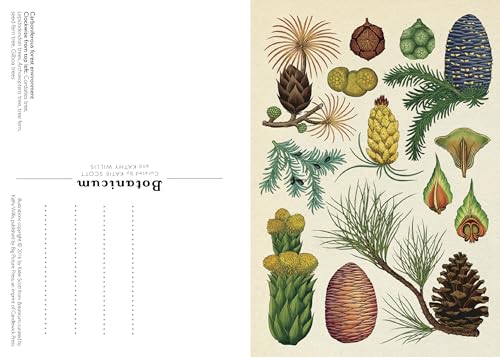 Botanicum Postcard Box Set (Welcome to the Museum) - Image 3