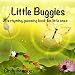 Little Buggies: A Rhyming Guessing Book For Toddlers and Young Children