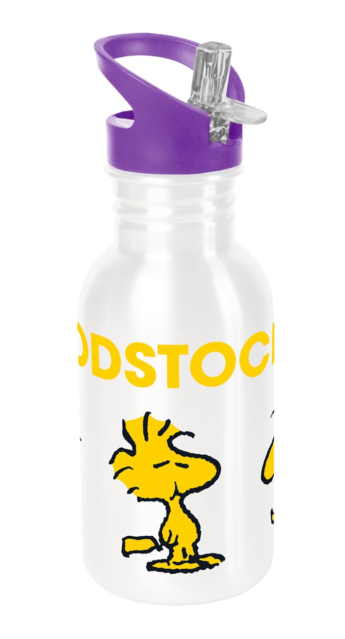 Water Bottle Sport Peanuts Woodstock 500 ml Stainless Steel — image 1