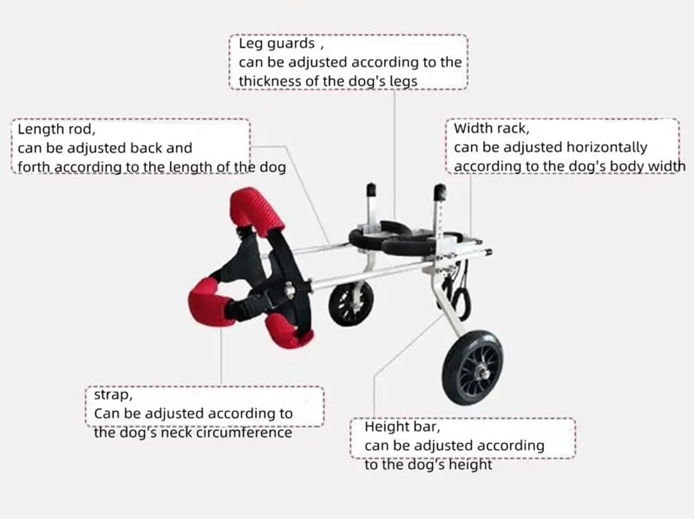 REMEK Sedia A Rotelle per Cani Regolabile, Carrozzina per Disabili Piccoli, Medi E Grandi Zampe Posteriori Animali Domestici Gatti Cani Zampe Posteriori Deambulatore