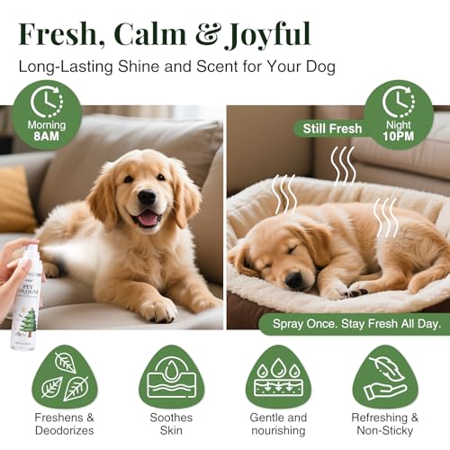 Image of Pet Cologne Spray for Dogs & Cats - Natural Deodorizing Perfume - Long-Lasting Scent - Alcohol-Free, Hypoallergenic, Safe Grooming Spray for Pets