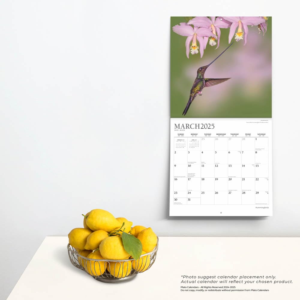 Hummingbirds - Image 3