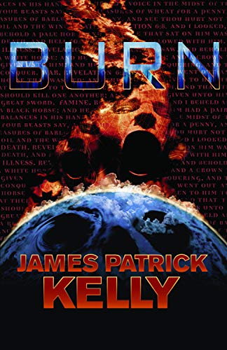 Burn view 2
