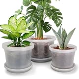 HKKZYT 8/10/12 Inch Clear Nursery Pots with Drainage and Sacuers, 15 Pack Plastic Pots for Plants Indoor Outdoor, Variety Large Clear Pots for Flowers, Succulents (8/10/12inx5pcs)