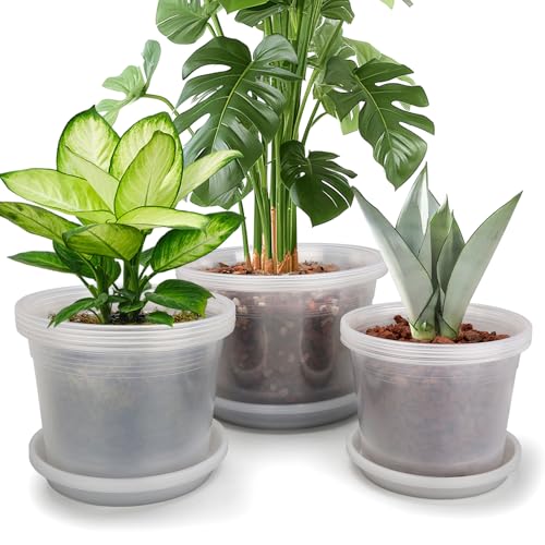 HKKZYT 8/10/12 Inch Clear Nursery Pots with Drainage and Sacuers 15 Pack Plastic Pots for Plants Indoor Outdoor Variety Large Clear Pots for Flowers Succulents (8/10/12inx5pcs)
