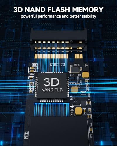 Image of RAOYI 1TB NVMe Internal Solid State Drive M.2 2280 PCIe Gen4x4 SSD, Up to 5000MB /s, Configure SLC Cache, Storage and Memory Expansion for PS5 Laptop Desktop
