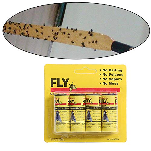 Preisvergleich Produktbild 4 Stück Fliegenfänger - umweltfreundlich und giftfrei - Inklusive Reißnagel zum Aufhängen - Fliegenfalle gegen Fliegen, Fruchtfliegen und Obstfliegen Aller Art Klebrige Fallen, Fliegende Fallen (4PCS)