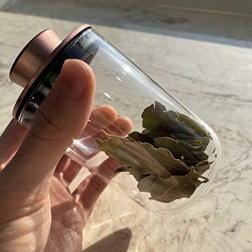 Brando Moon Glass Storage Jar Pro with Airtight Cute Lid Engraved with Moon - Smell Proof and Airtight Multi-Use Stash Container for Spices, Coffee etc - Perfect Travel Size 4" and 250ml