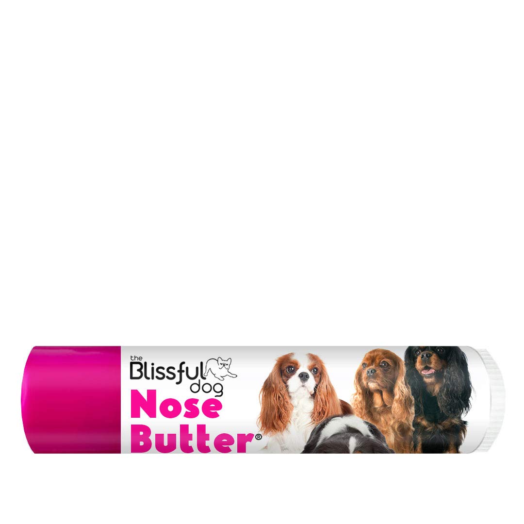The Blissful Dog Cavalier King Charles Spaniel Nose Butter, Versatile Dog Nose Balm for Dry Nose, Handcrafted Nose Moisturizer, Easy-to-Apply Dog Essentials, Unscented, 0.15 oz.