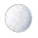 10" Dinner Plate (Pack of 12)