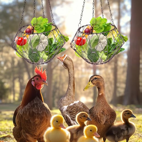 GHWMYD Alimentador de frango para pendurar, cesta grande dobrável de 16,5 cm, alimentador de frutas