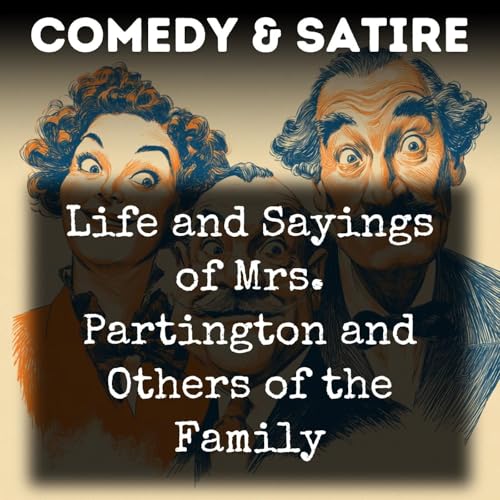 『Life and Sayings of Mrs. Partington and Others of the Family』のカバーアート