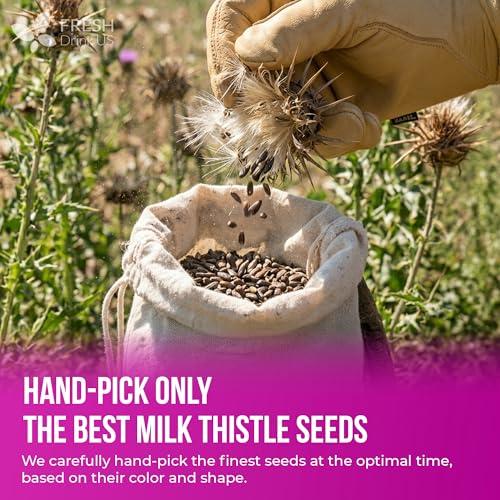 Image of FreshDrinkUS, Premium 16oz Milk Thistle Seeds, 100% Natural & Pure, Herbal Tea, Daily Infusion Botanical, No Sugar, No Caffeine, No Gluten, Vegan. Rich in Antioxidants