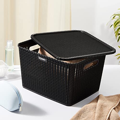 Image of Amazon Brand - Solimo Organizer Basket With Lid, Black
